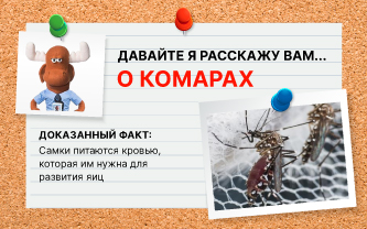 Как отличить самку комара от самца? Как отличить самку комара от самца?